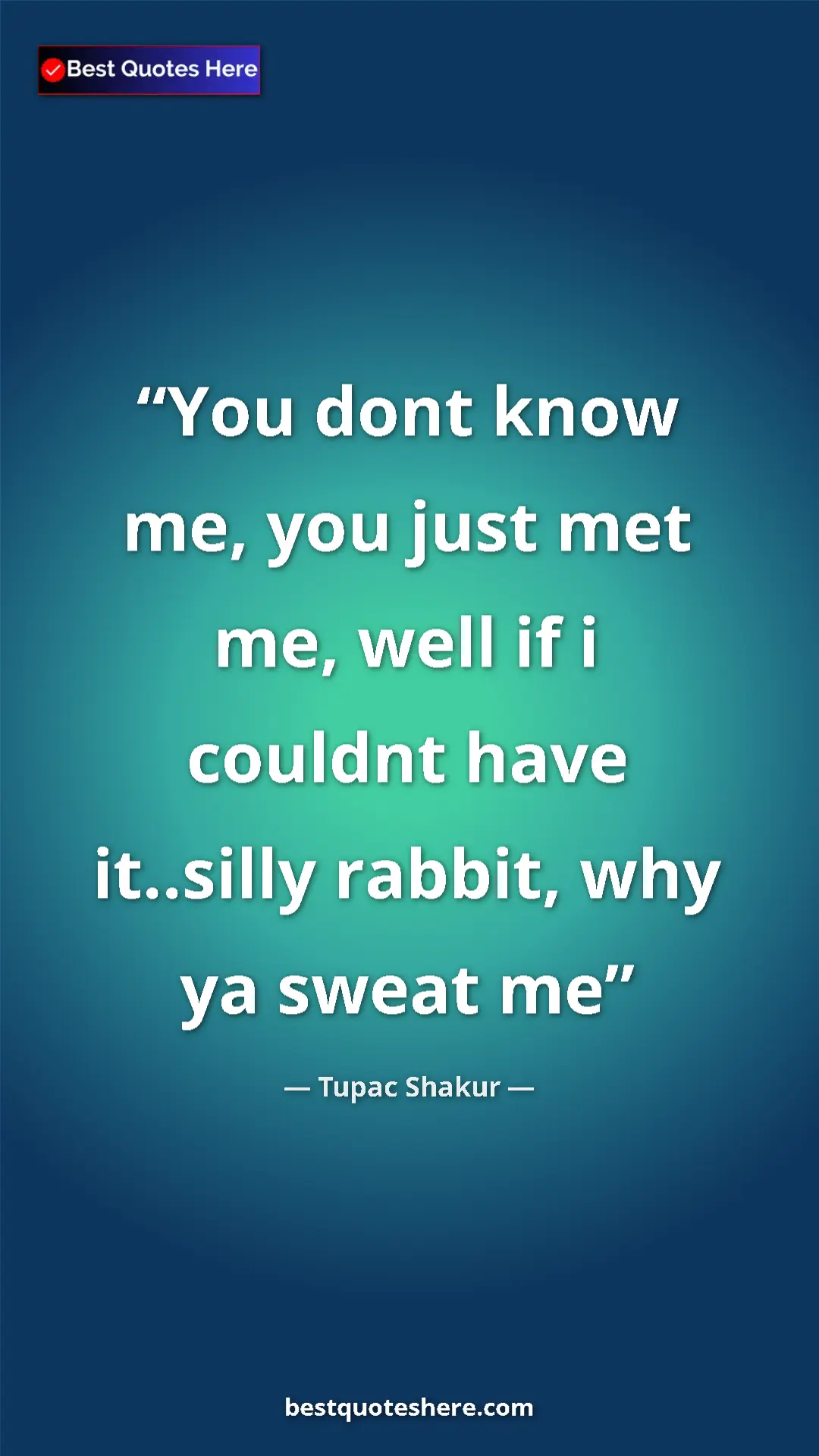Pinterest quote poster by Tupac Shakur: "You dont know me, you just met me, well if i couldnt have..."