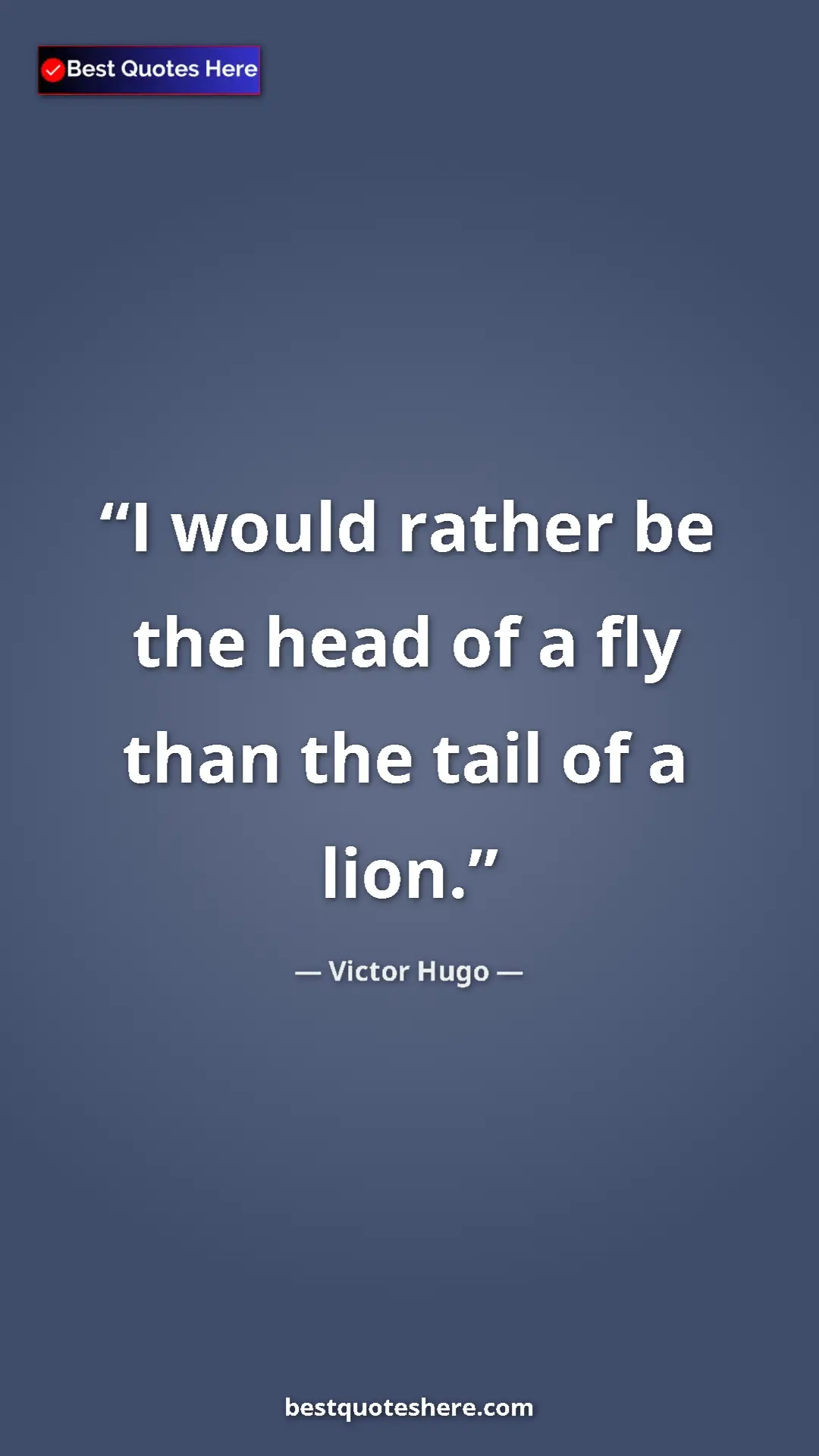 Pinterest quote poster by Victor Hugo: "I would rather be the head of a fly than the tail of a lion."