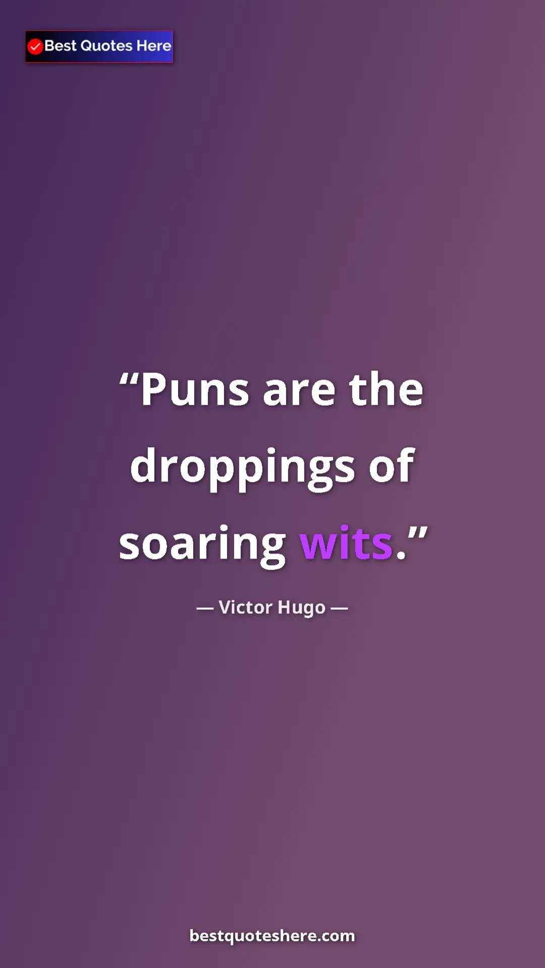 Pinterest quote poster by Victor Hugo: "Puns are the droppings of soaring wits."