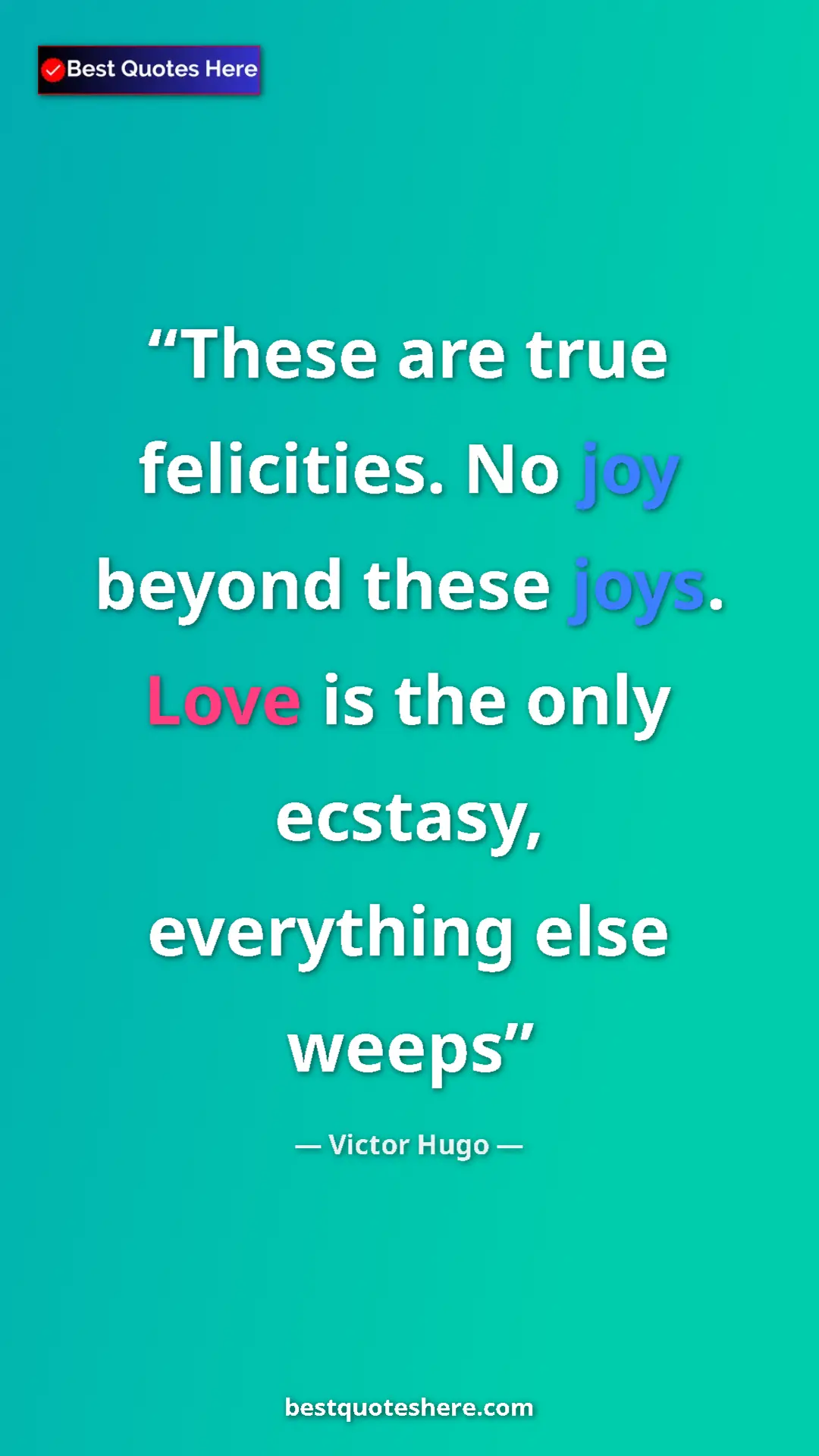 Pinterest quote poster by Victor Hugo: "These are true felicities. No joy beyond these joys. Love..."