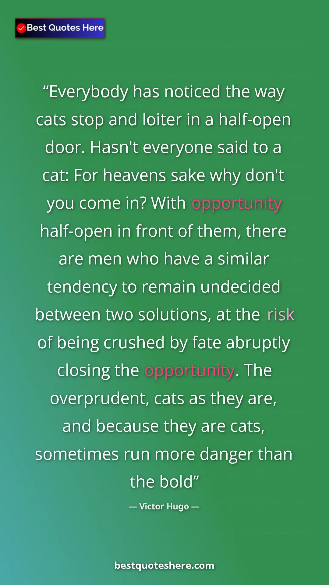 Pinterest quote poster by Victor Hugo: "Everybody has noticed the way cats stop and loiter in a..."