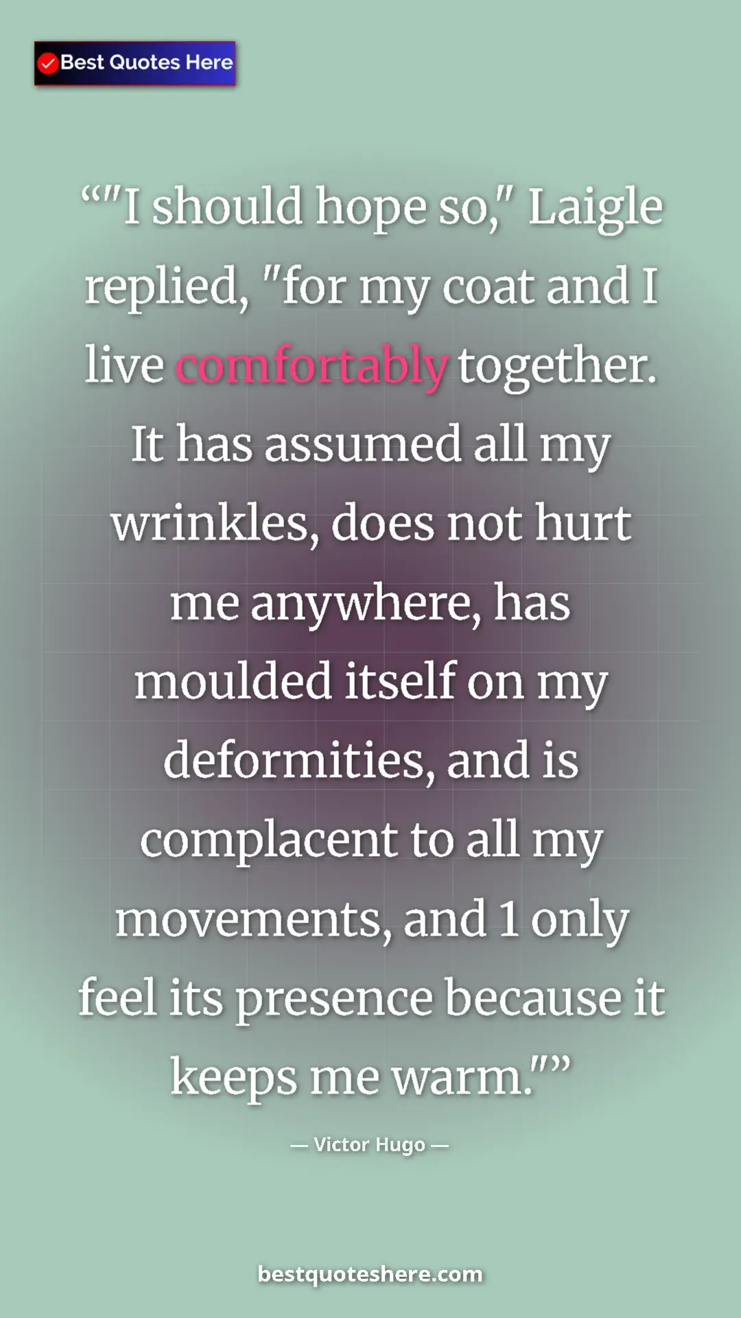 Pinterest quote poster by Victor Hugo: ""I should hope so," Laigle replied, "for my coat and I live..."