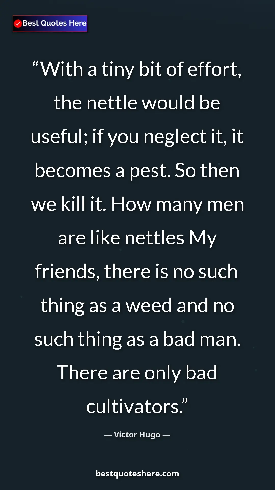 Victor Hugo Quote Card: "With a tiny bit of effort, the nettle would be useful; if..." Pinterest quote poster by Victor Hugo: "With a tiny bit of effort, the nettle would be useful; if..."