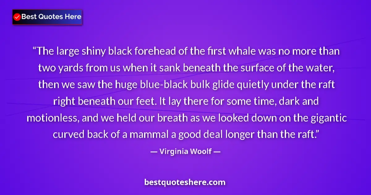 Quote by Virginia Woolf: The large shiny black forehead of the first whale was no more than two yards from us when it sank be...