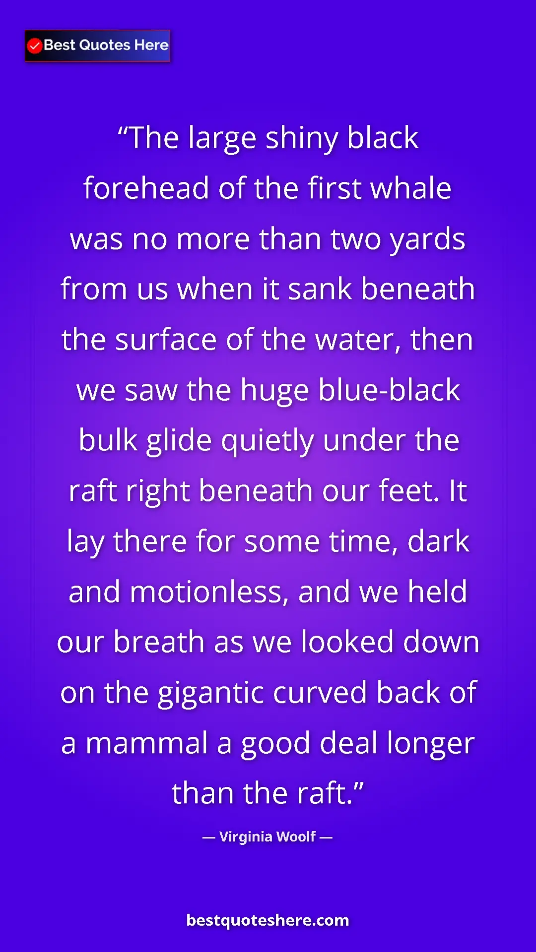 Virginia Woolf Quote Card: "The large shiny black forehead of the first whale was no..." Pinterest quote poster by Virginia Woolf: "The large shiny black forehead of the first whale was no..."