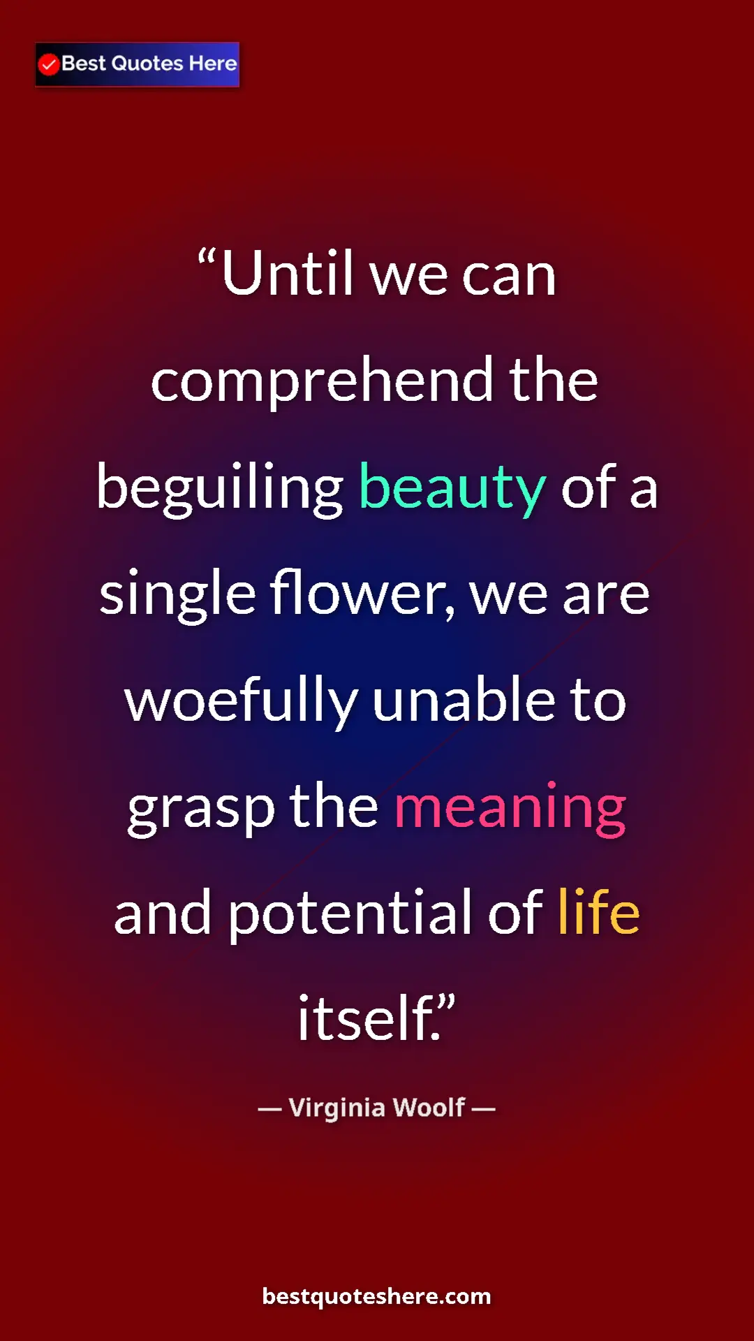 Virginia Woolf Quote Card: "Until we can comprehend the beguiling beauty of a single..." Pinterest quote poster by Virginia Woolf: "Until we can comprehend the beguiling beauty of a single..."