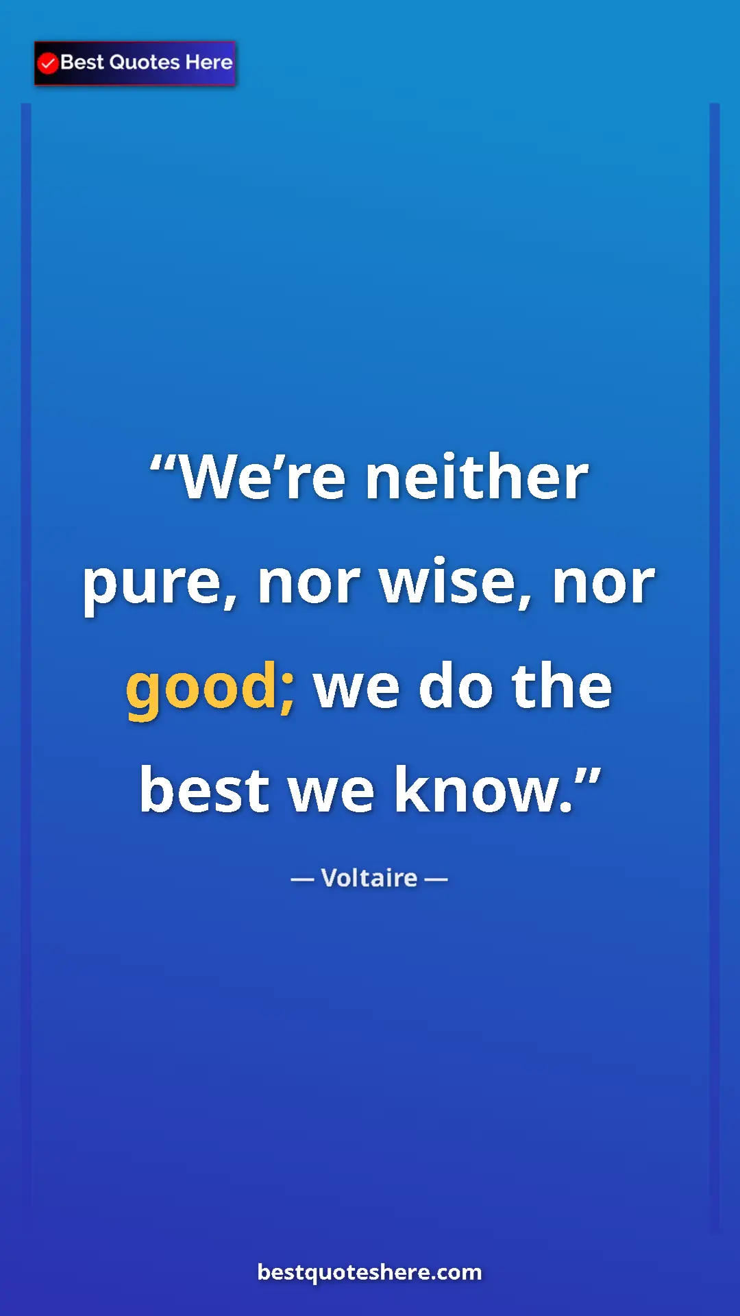 Pinterest quote poster by Voltaire: "We’re neither pure, nor wise, nor good; we do the best we..."