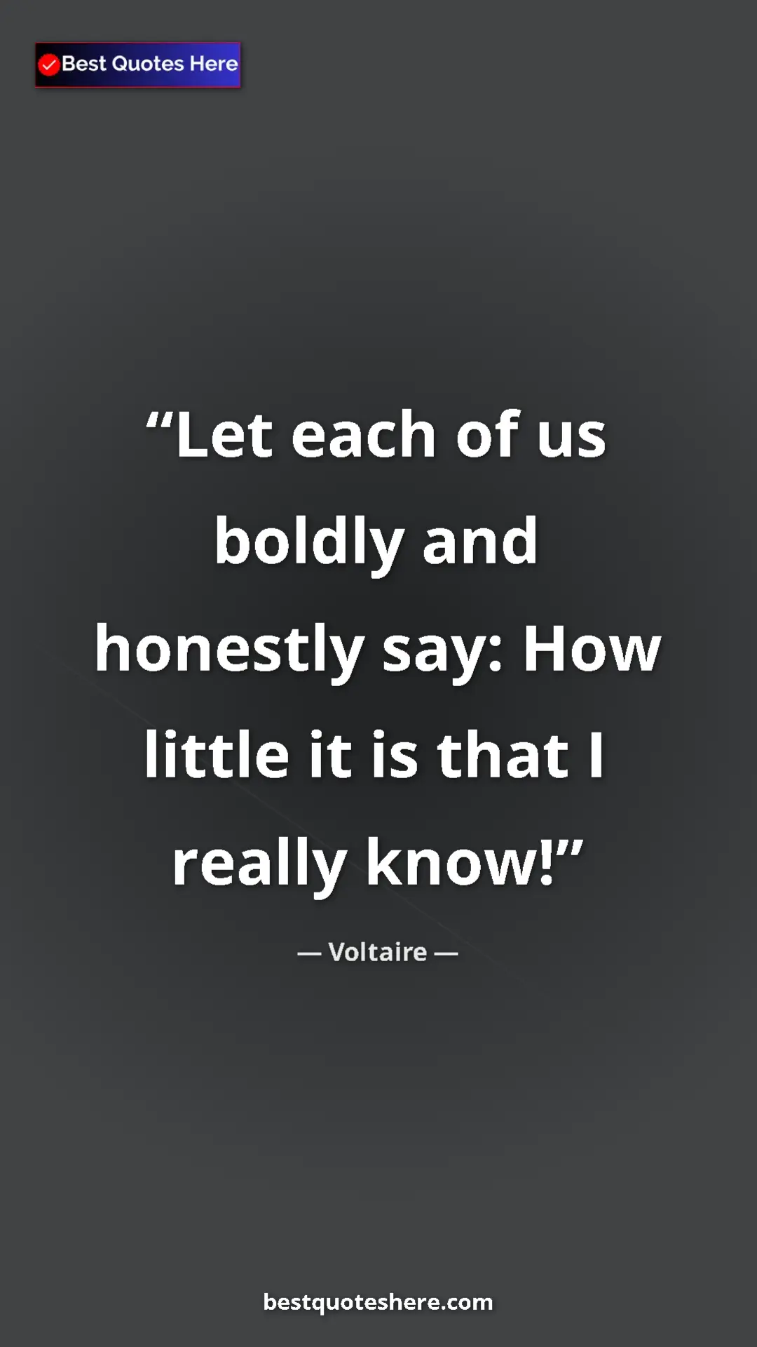 Pinterest quote poster by Voltaire: "Let each of us boldly and honestly say: How little it is..."