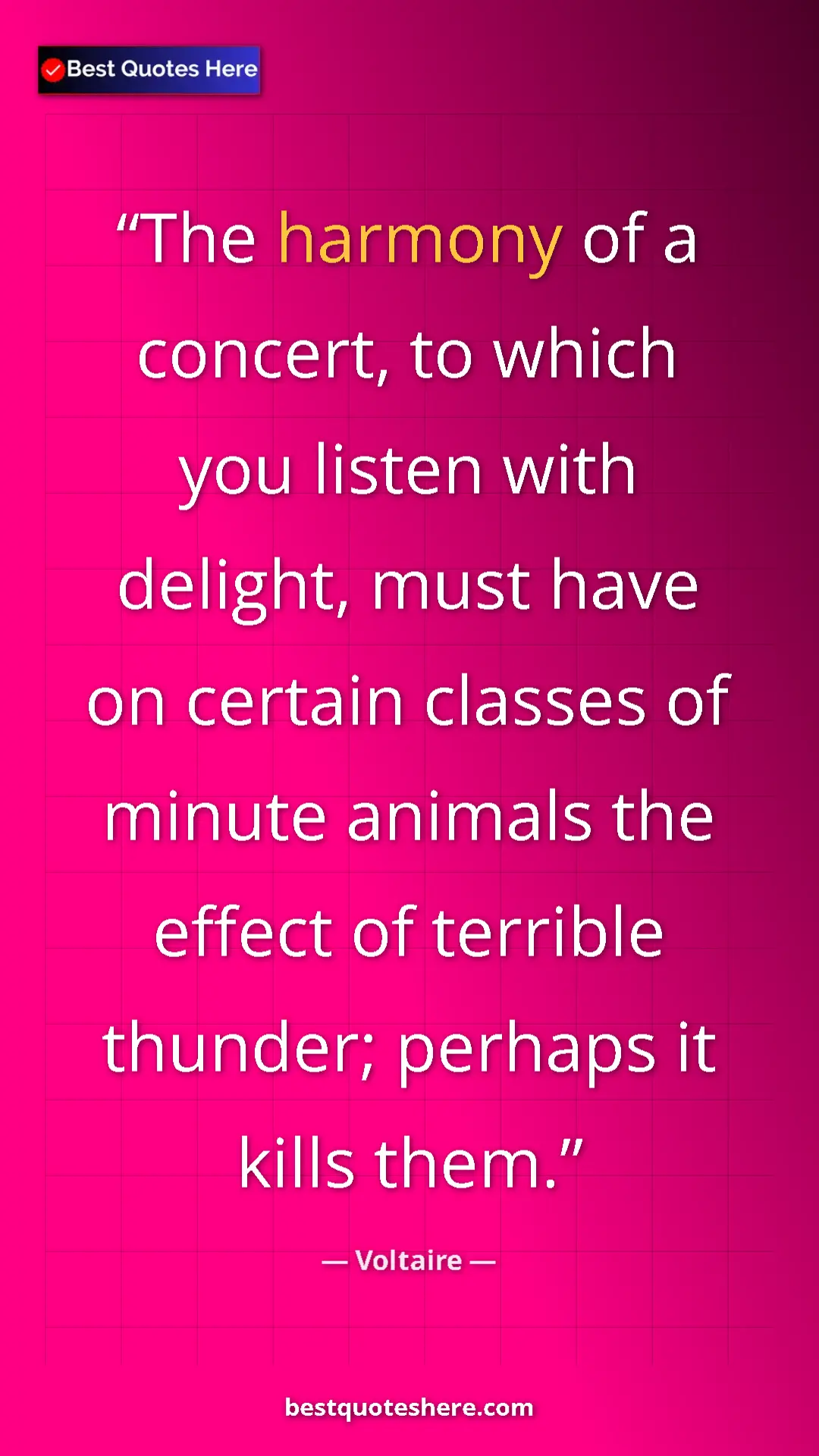 Pinterest quote poster by Voltaire: "The harmony of a concert, to which you listen with delight,..."