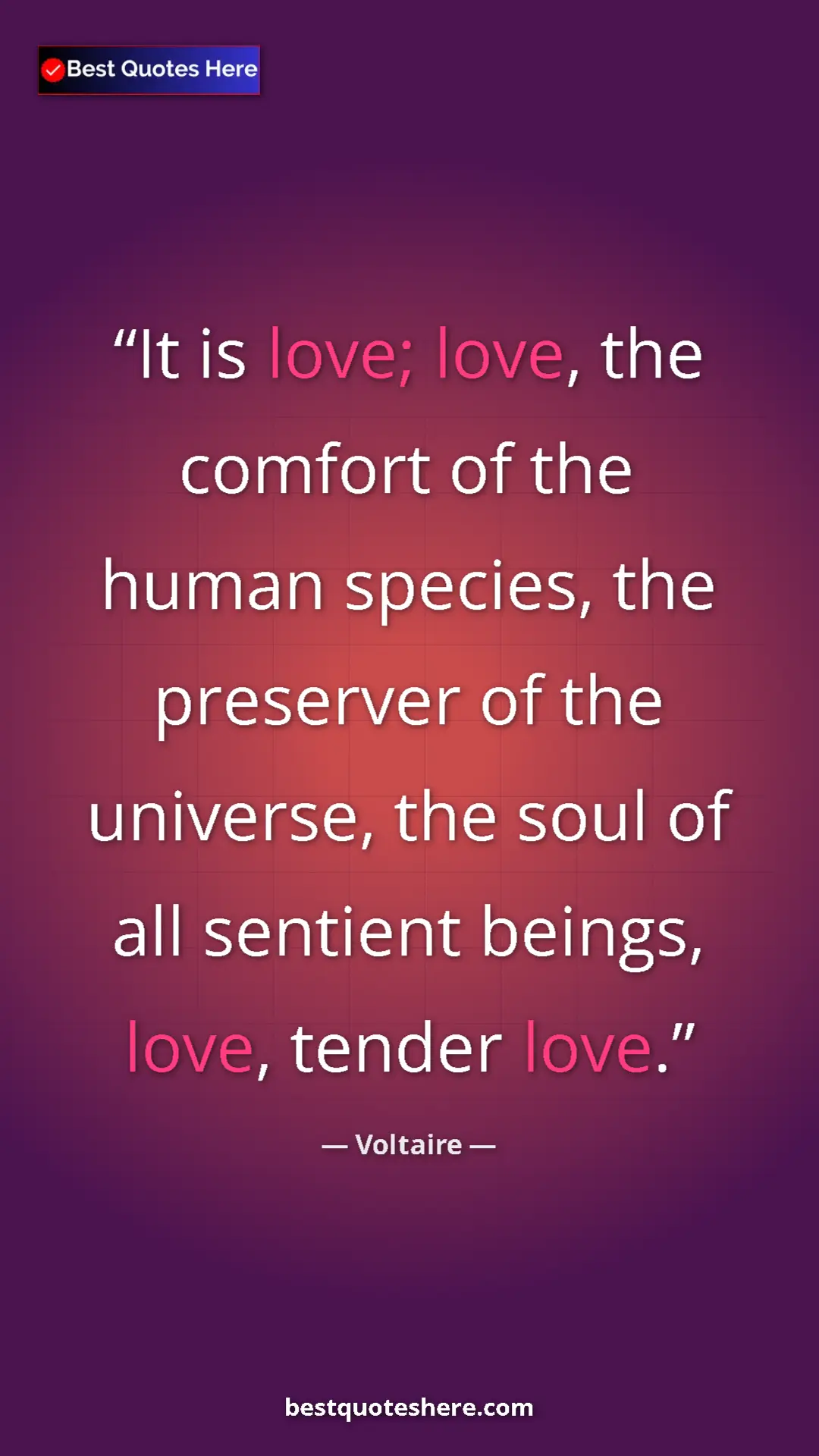 Pinterest quote poster by Voltaire: "It is love; love, the comfort of the human species, the..."