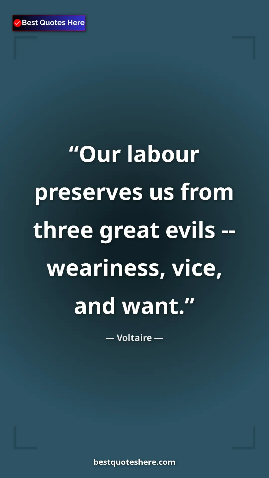 Pinterest quote poster by Voltaire: "Our labour preserves us from three great evils --..."