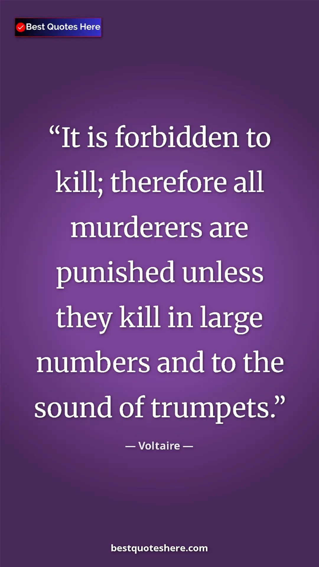 Pinterest quote poster by Voltaire: "It is forbidden to kill; therefore all murderers are..."