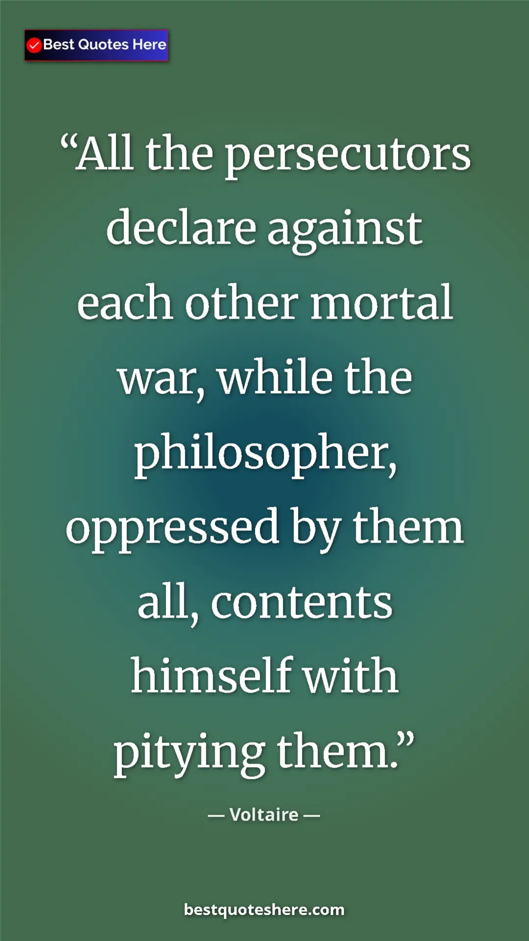 Pinterest quote poster by Voltaire: "All the persecutors declare against each other mortal war,..."