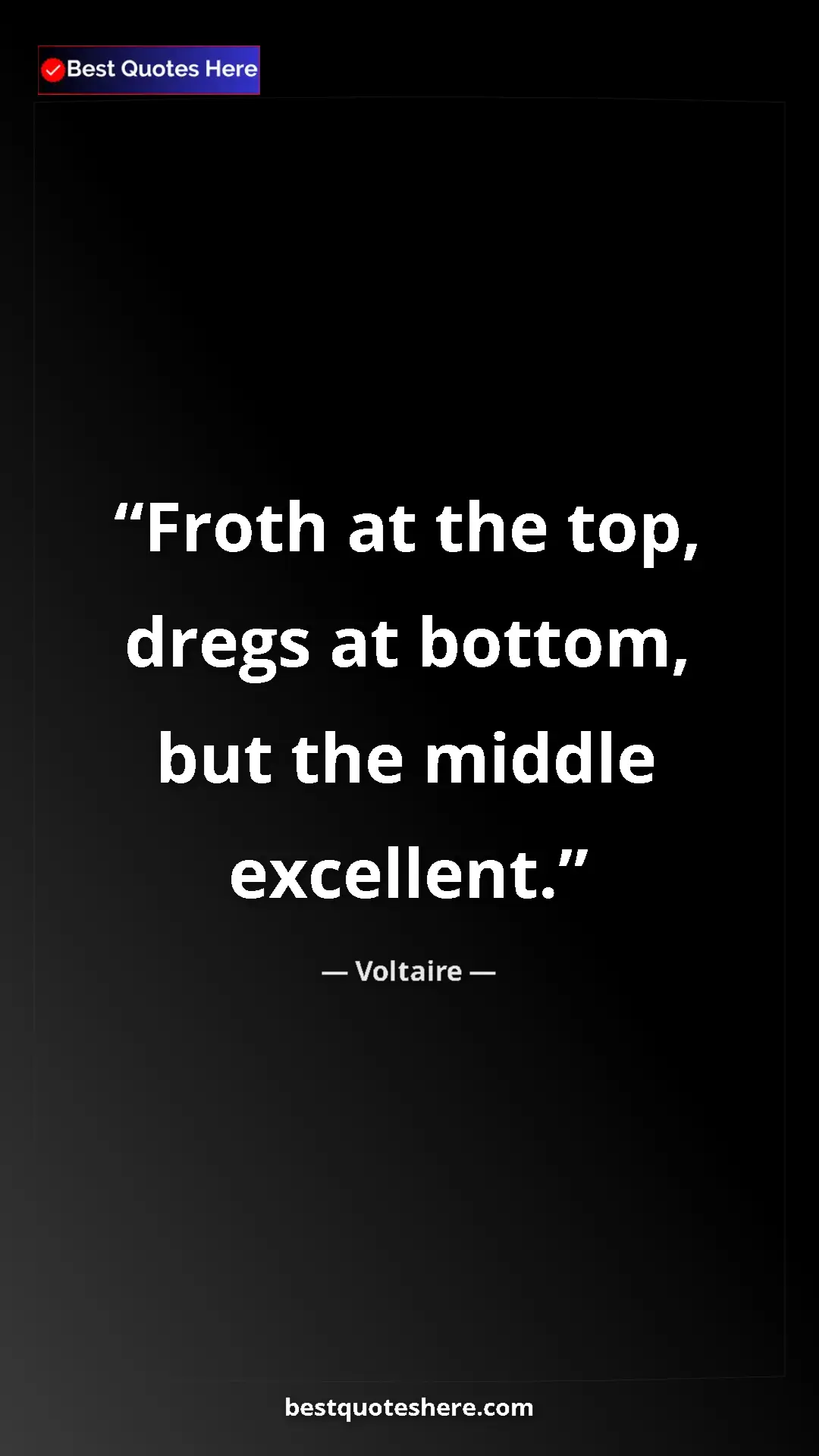 Pinterest quote poster by Voltaire: "Froth at the top, dregs at bottom, but the middle excellent."