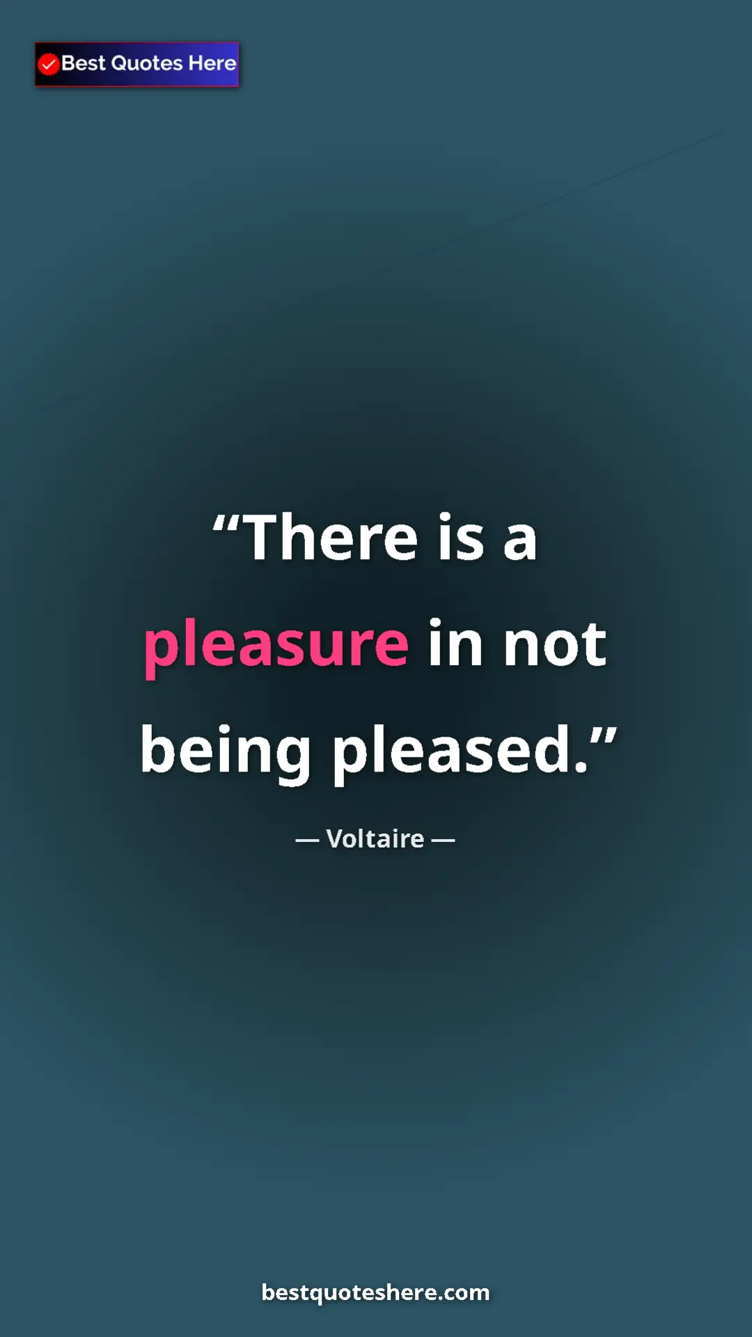Pinterest quote poster by Voltaire: "There is a pleasure in not being pleased."