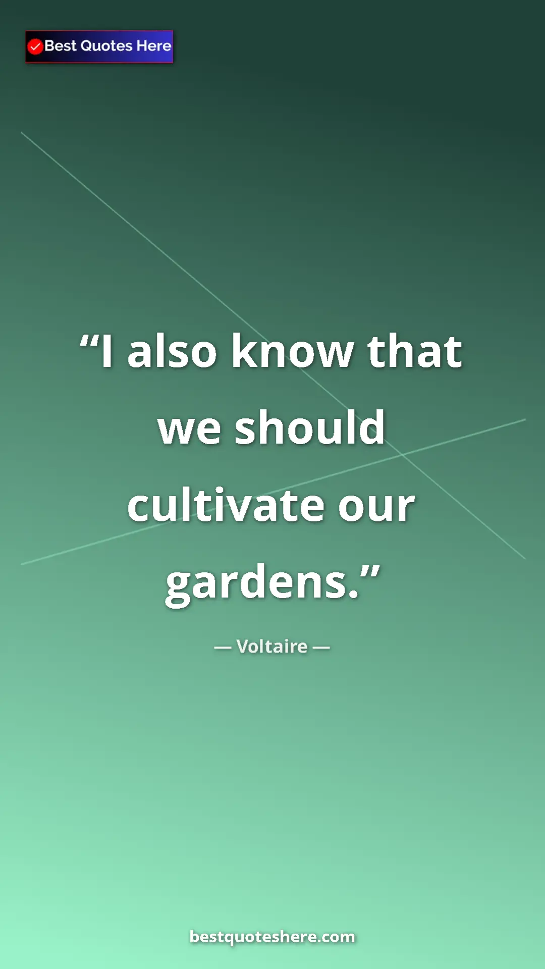 Pinterest quote poster by Voltaire: "I also know that we should cultivate our gardens."