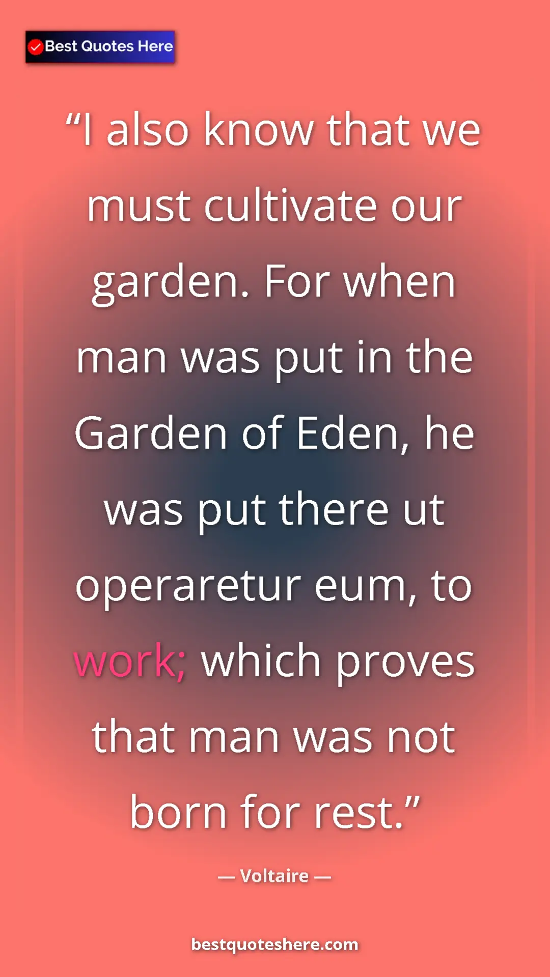 Pinterest quote poster by Voltaire: "I also know that we must cultivate our garden. For when man..."