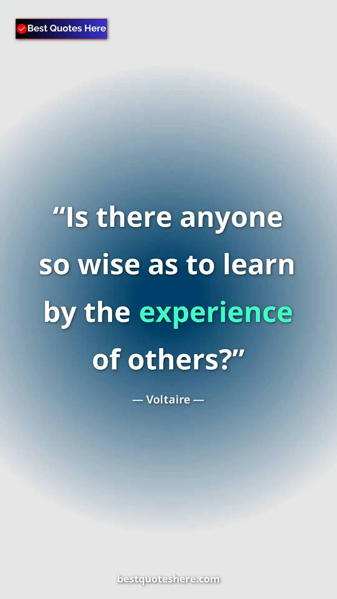 Pinterest quote poster by Voltaire: "Is there anyone so wise as to learn by the experience of..."