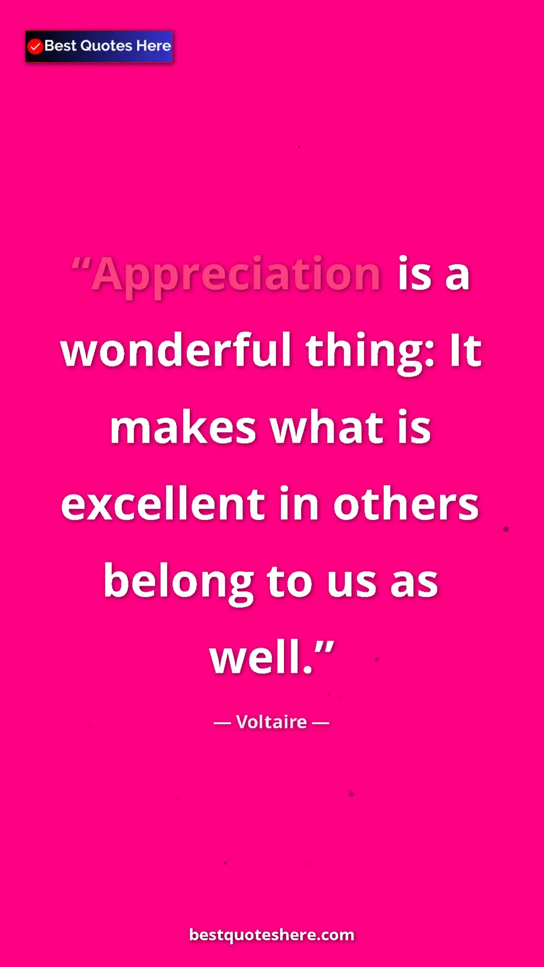 Pinterest quote poster by Voltaire: "Appreciation is a wonderful thing: It makes what is..."