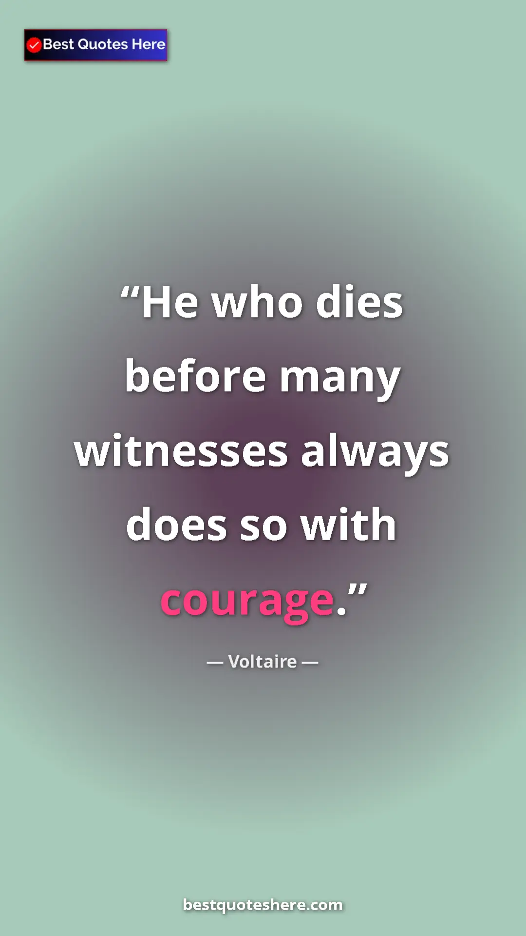 Pinterest quote poster by Voltaire: "He who dies before many witnesses always does so with..."