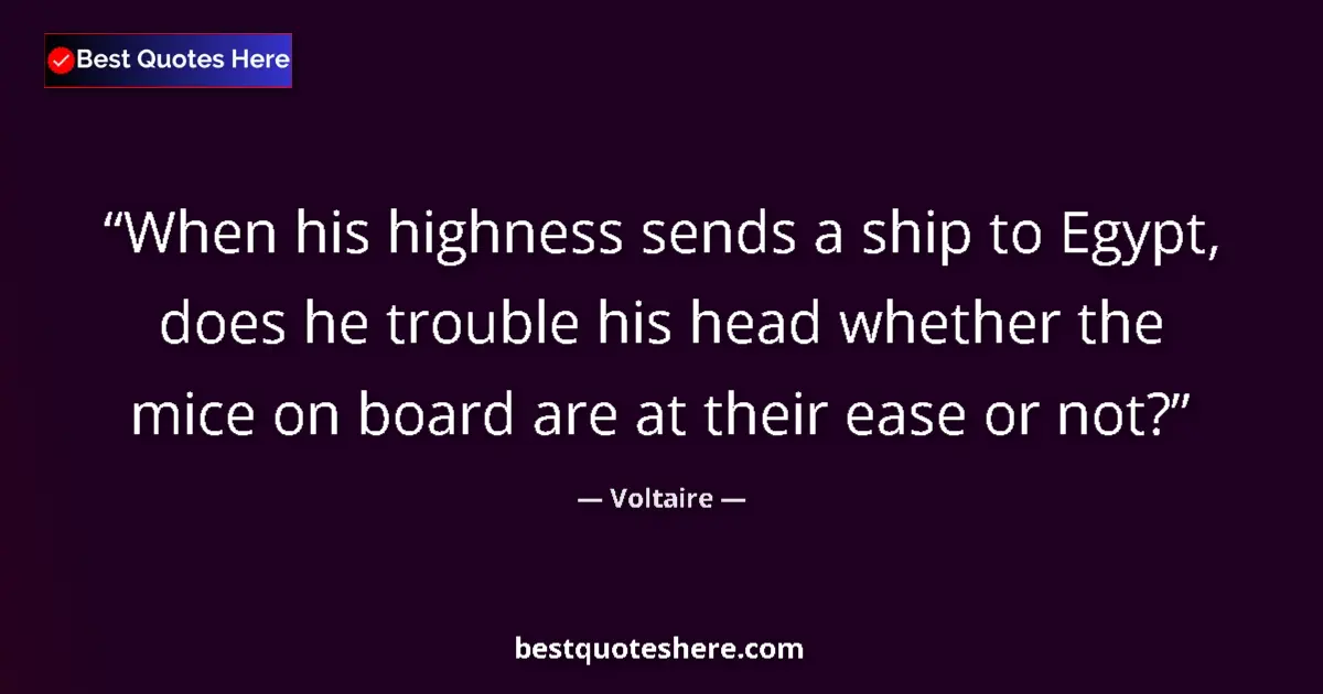 Quote by Voltaire: When his highness sends a ship to Egypt, does he t