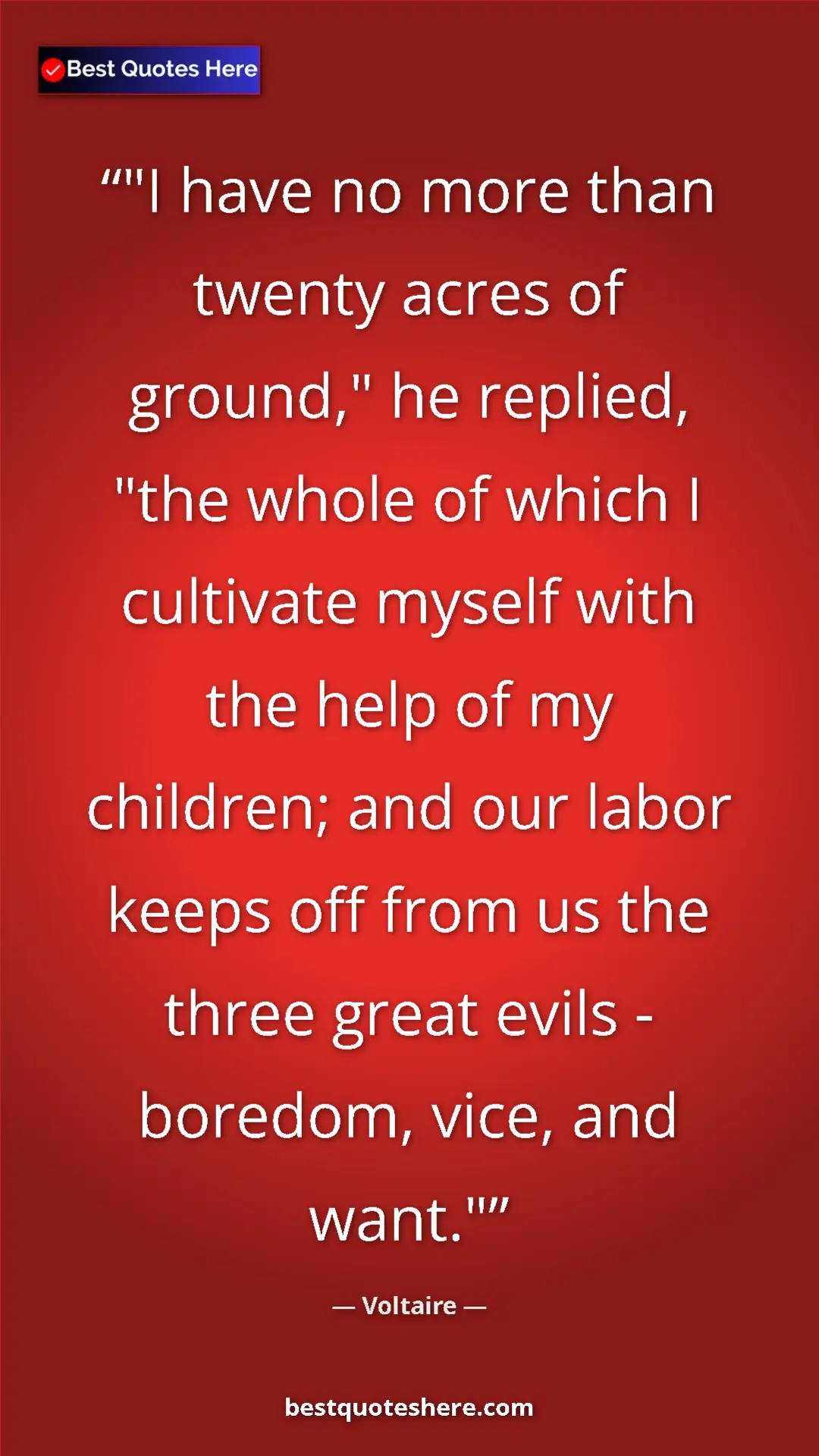 Pinterest quote poster by Voltaire: ""I have no more than twenty acres of ground," he replied,..."