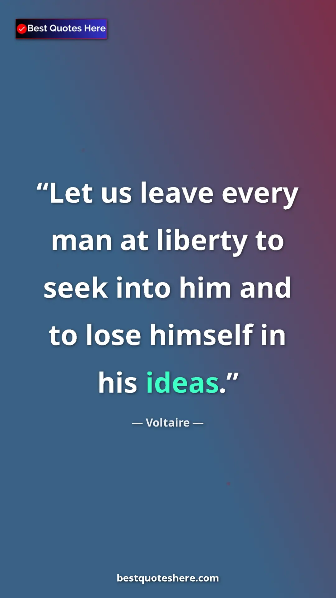 Pinterest quote poster by Voltaire: "Let us leave every man at liberty to seek into him and to..."