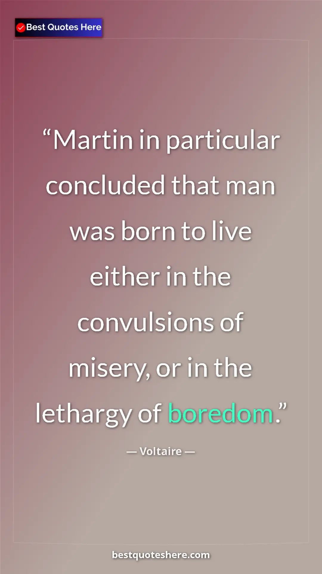 Pinterest quote poster by Voltaire: "Martin in particular concluded that man was born to live..."