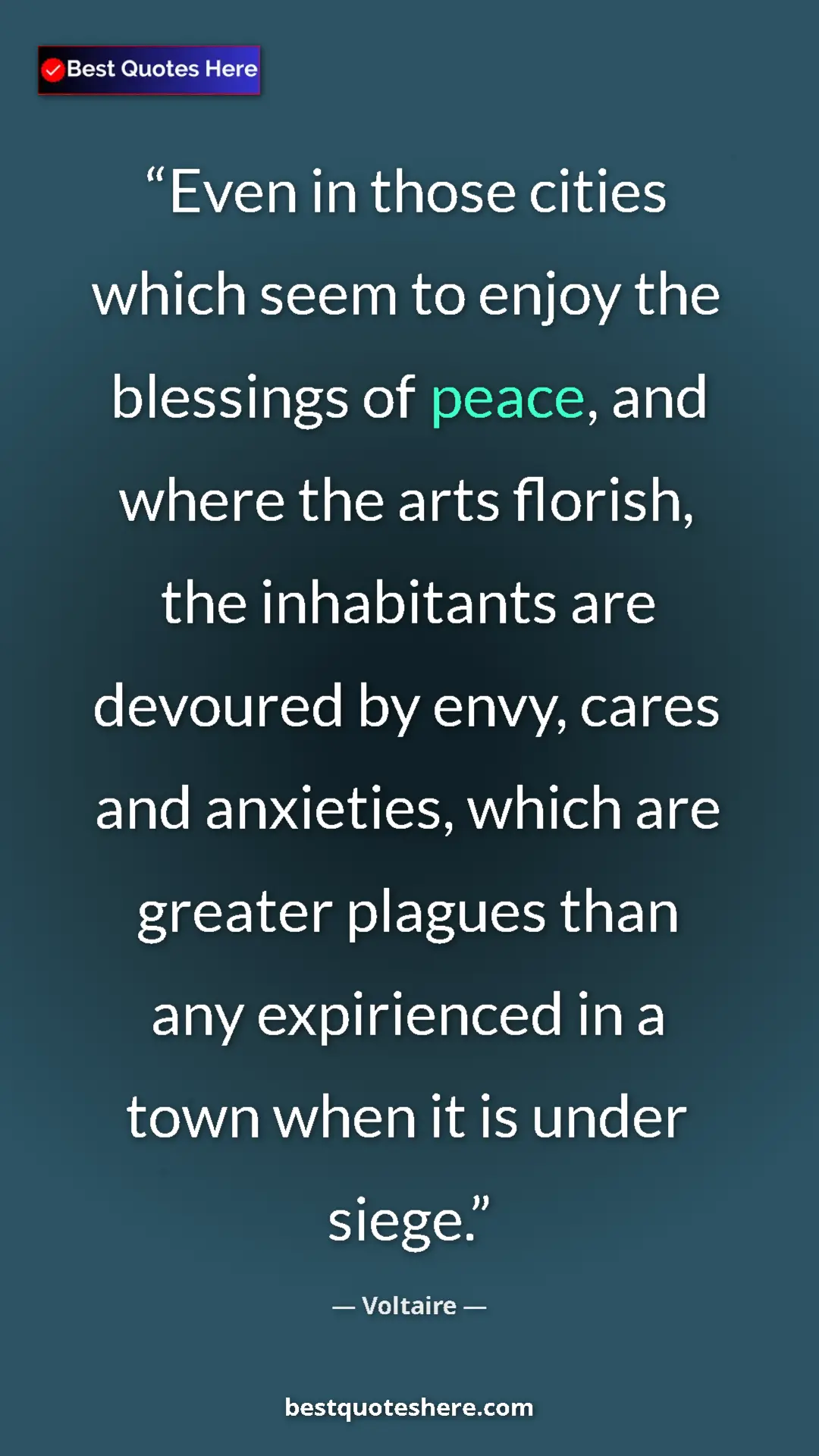 Pinterest quote poster by Voltaire: "Even in those cities which seem to enjoy the blessings of..."