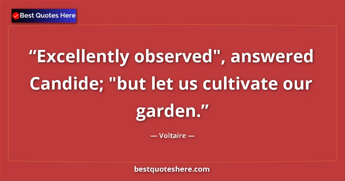 Quote by Voltaire: Excellently observed