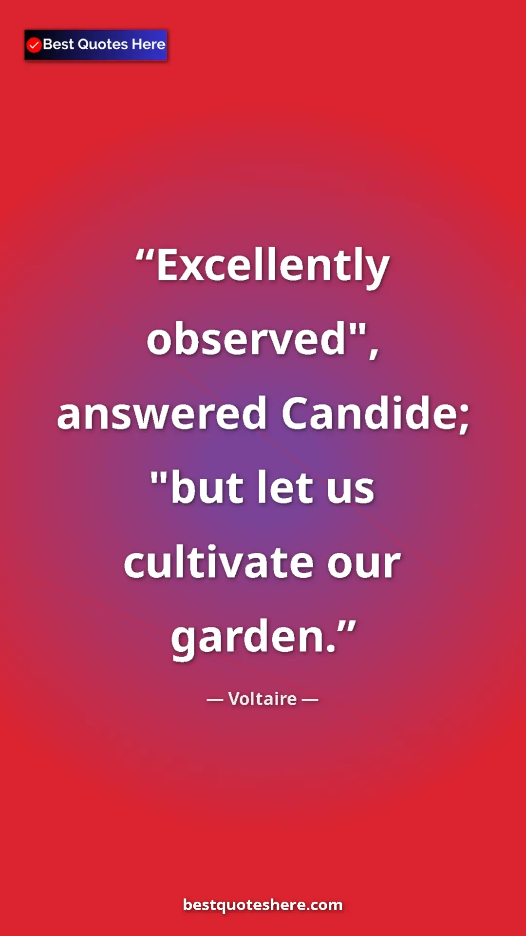 Pinterest quote poster by Voltaire: "Excellently observed", answered Candide; "but let us..."