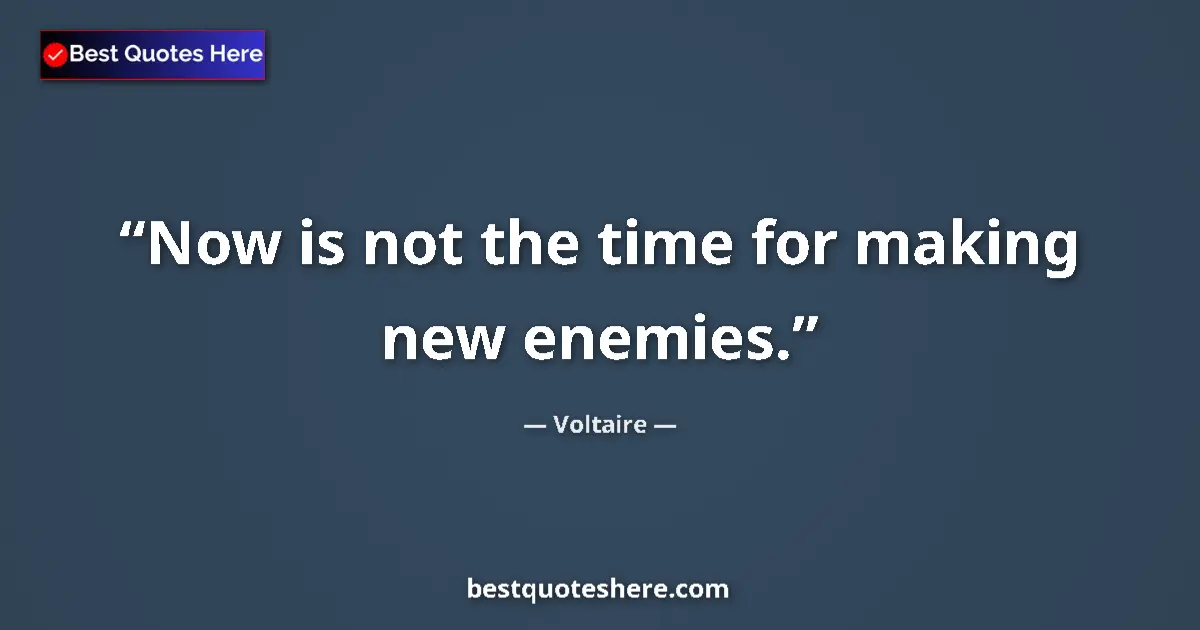 Quote by Voltaire: Now is not the time for making new enemies....