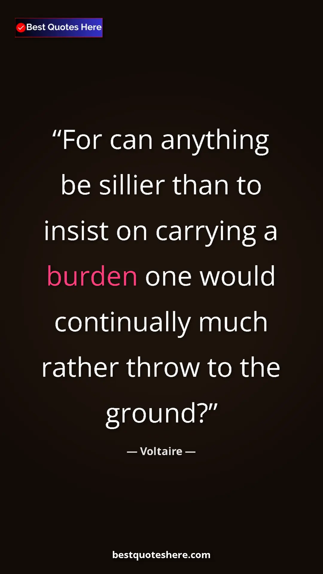 Pinterest quote poster by Voltaire: "For can anything be sillier than to insist on carrying a..."