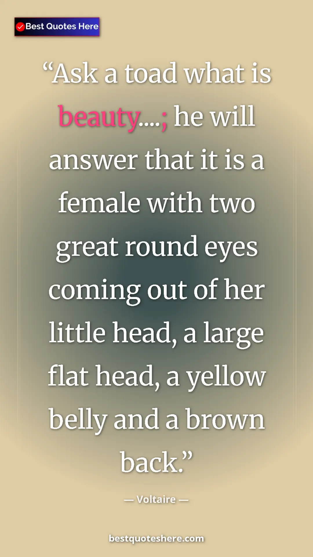 Pinterest quote poster by Voltaire: "Ask a toad what is beauty....; he will answer that it is a f"