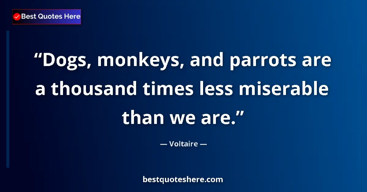 Image for the quote by Voltaire: Dogs, monkeys, and parrots are a thousand times less miserable than we are....