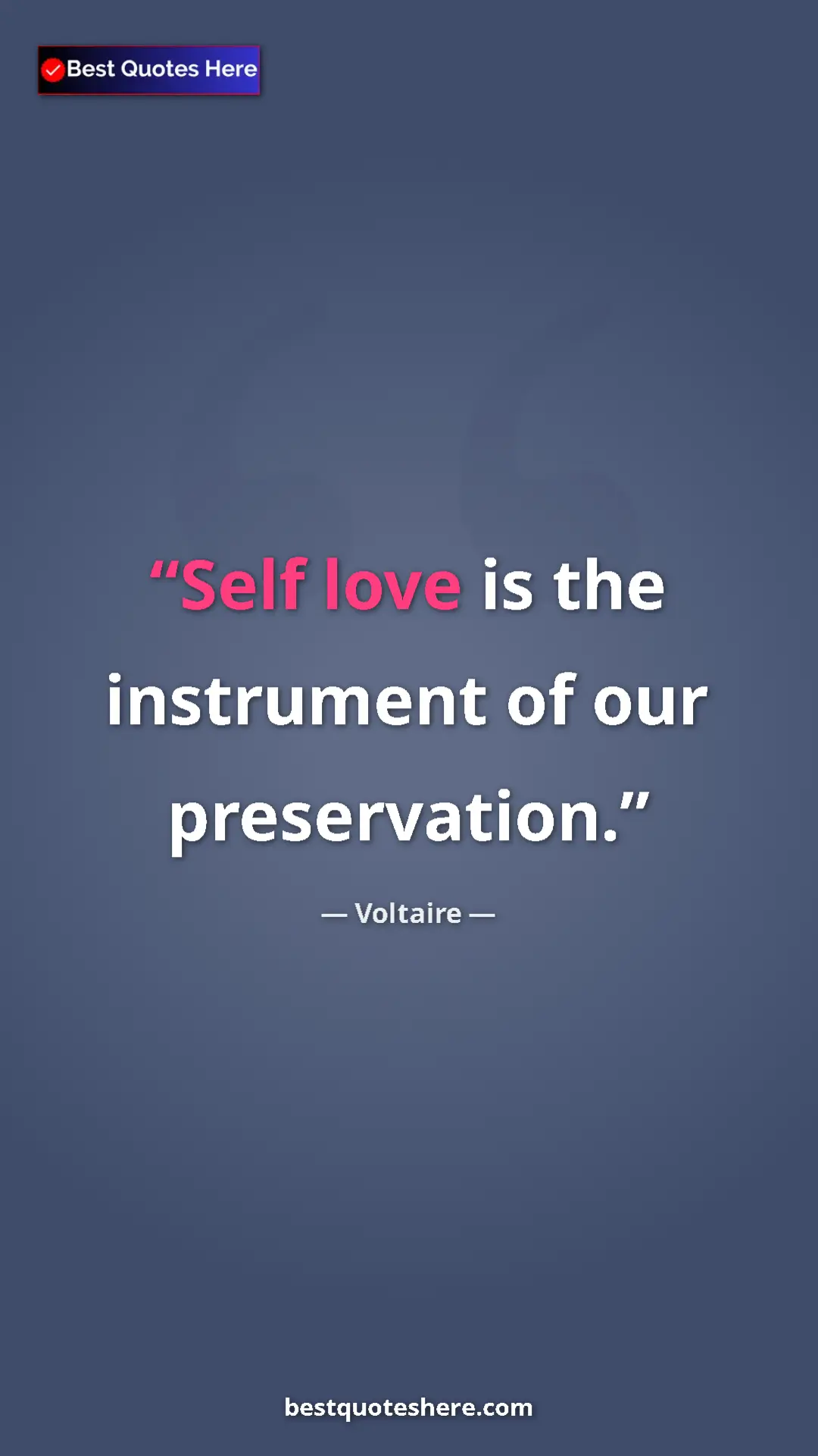 Pinterest quote poster by Voltaire: "Self love is the instrument of our preservation."