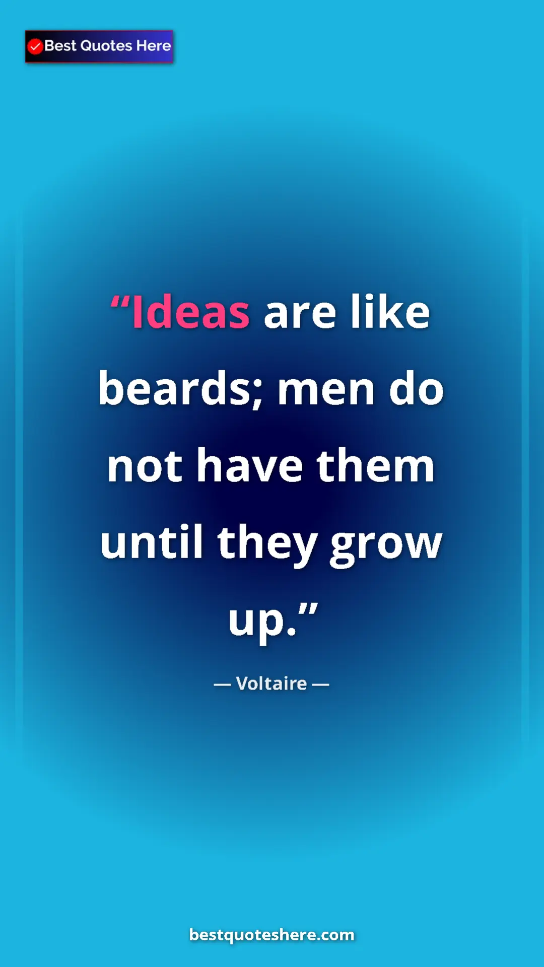 Pinterest quote poster by Voltaire: "Ideas are like beards; men do not have them until they grow..."