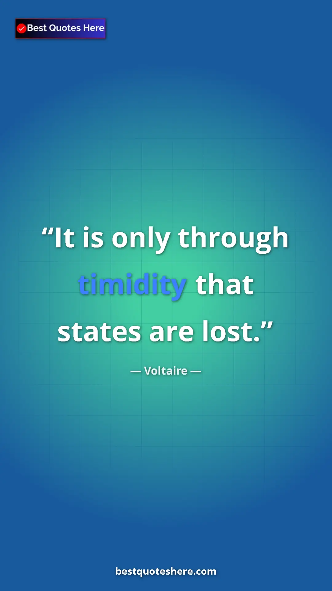 Pinterest quote poster by Voltaire: "It is only through timidity that states are lost."