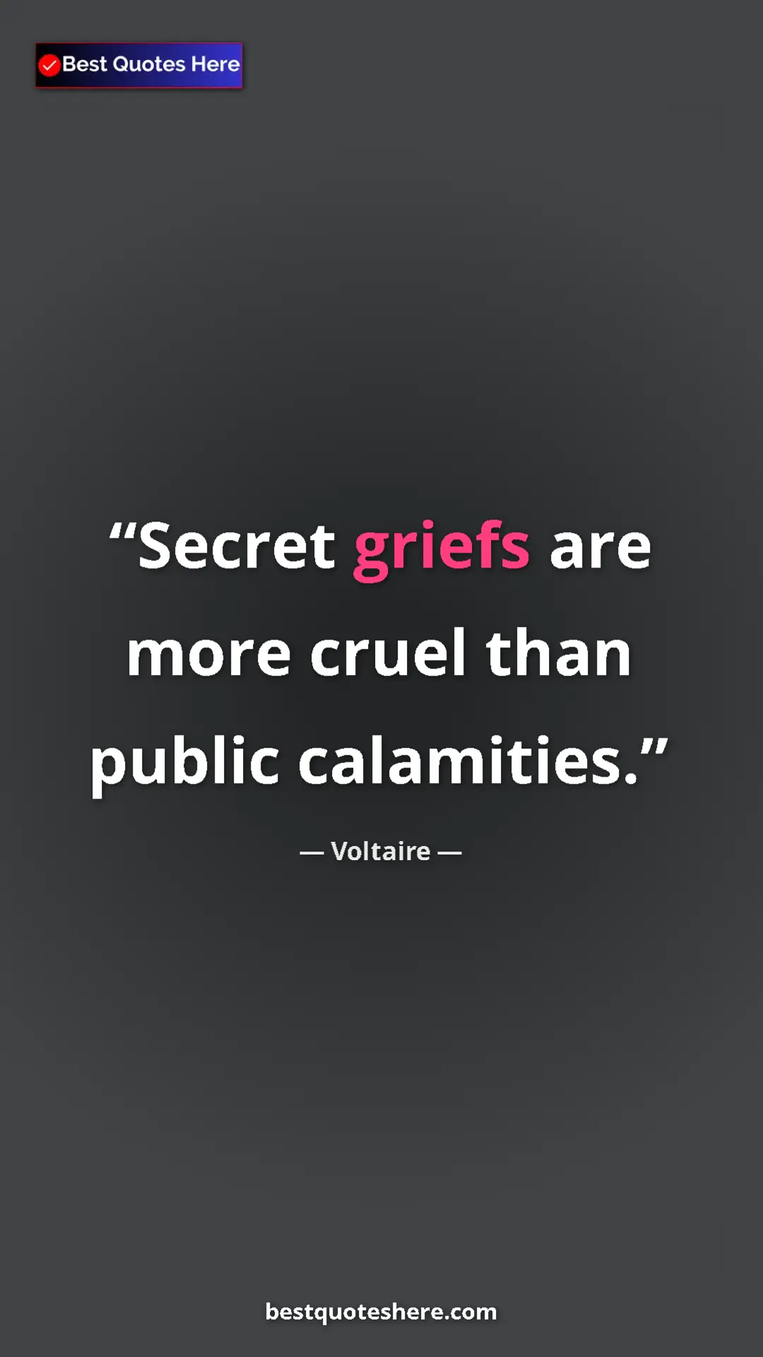 Pinterest quote poster by Voltaire: "Secret griefs are more cruel than public calamities."