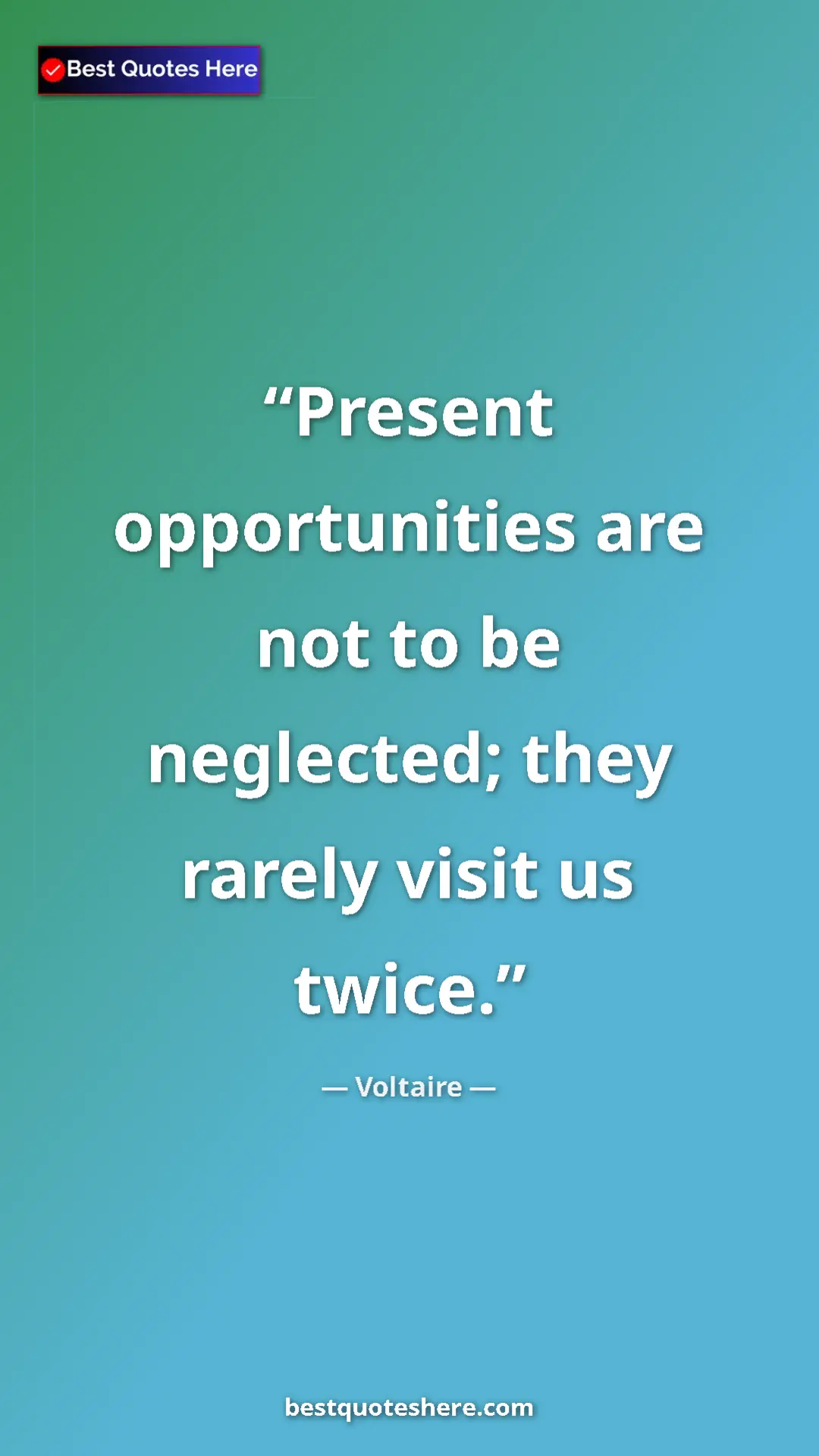 Pinterest quote poster by Voltaire: "Present opportunities are not to be neglected; they rarely..."