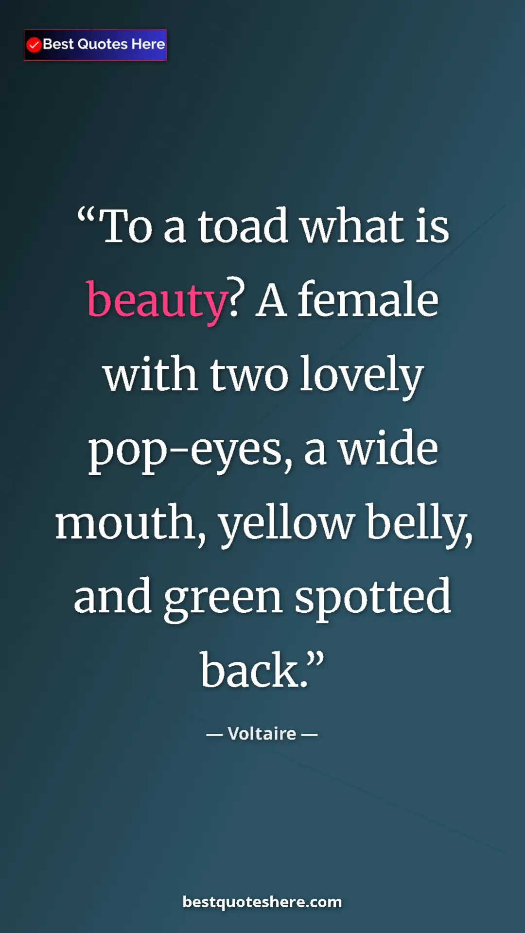Pinterest quote poster by Voltaire: "To a toad what is beauty? A female with two lovely..."