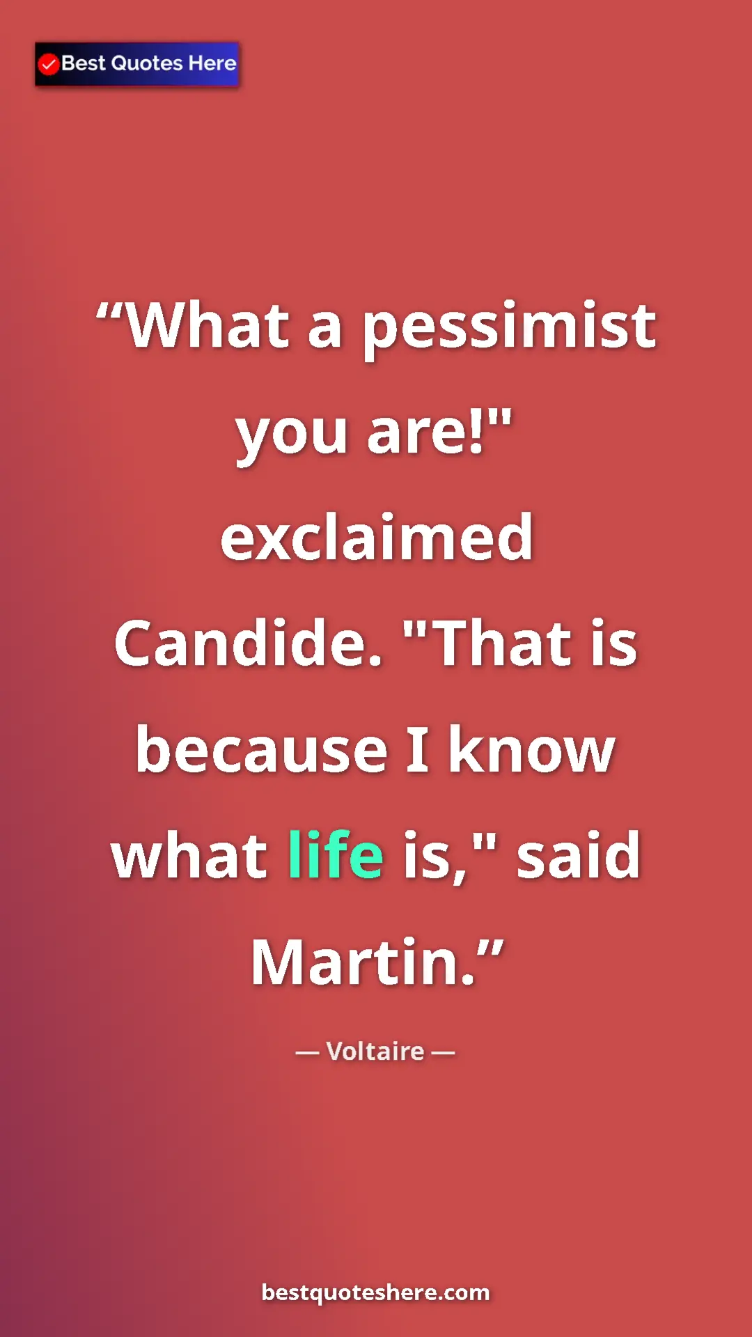 Pinterest quote poster by Voltaire: "What a pessimist you are!" exclaimed Candide. "That is..."