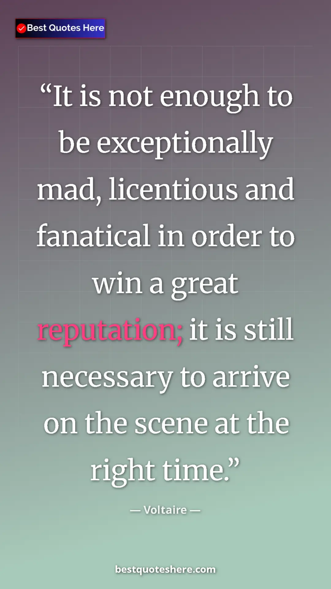 Pinterest quote poster by Voltaire: "It is not enough to be exceptionally mad, licentious and..."