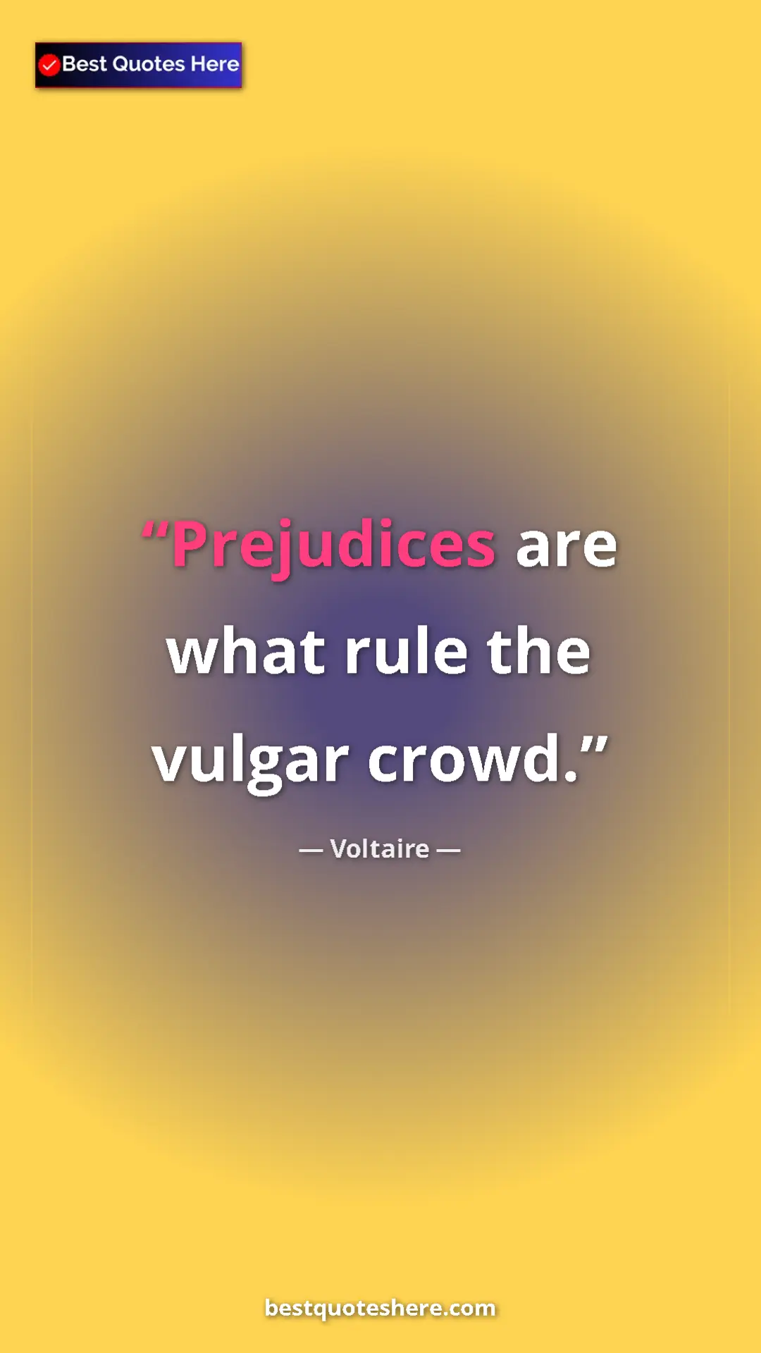 Pinterest quote poster by Voltaire: "Prejudices are what rule the vulgar crowd."