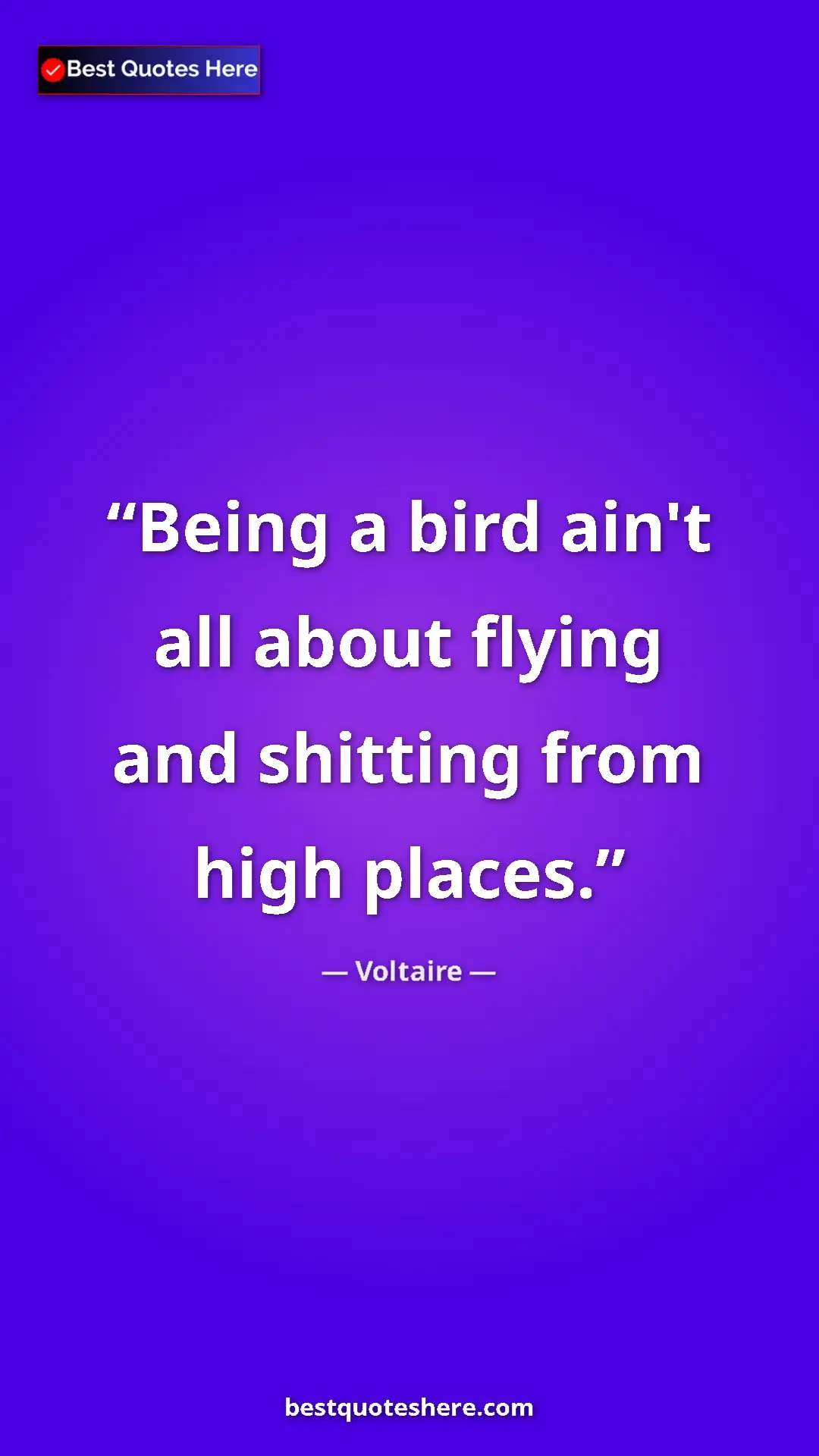 Pinterest quote poster by Voltaire: "Being a bird ain't all about flying and shitting from high..."
