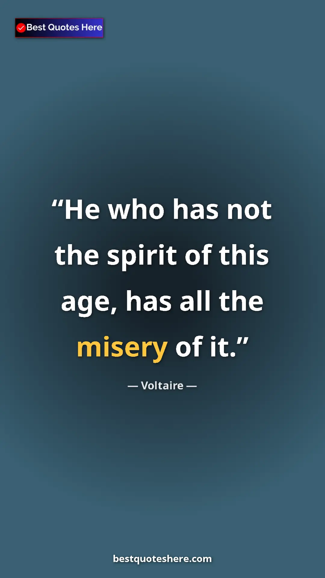 Pinterest quote poster by Voltaire: "He who has not the spirit of this age, has all the misery..."