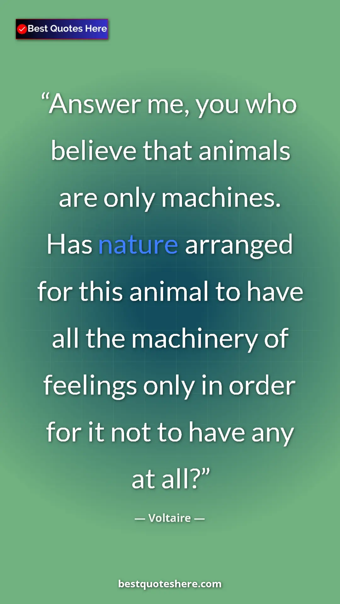 Voltaire Quote Card: "Answer me, you who believe that animals are only machines...." Pinterest quote poster by Voltaire: "Answer me, you who believe that animals are only machines...."