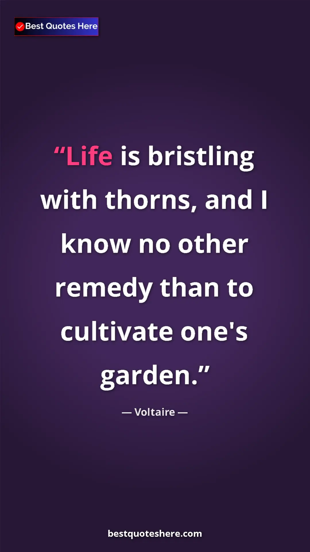 Pinterest quote poster by Voltaire: "Life is bristling with thorns, and I know no other remedy..."