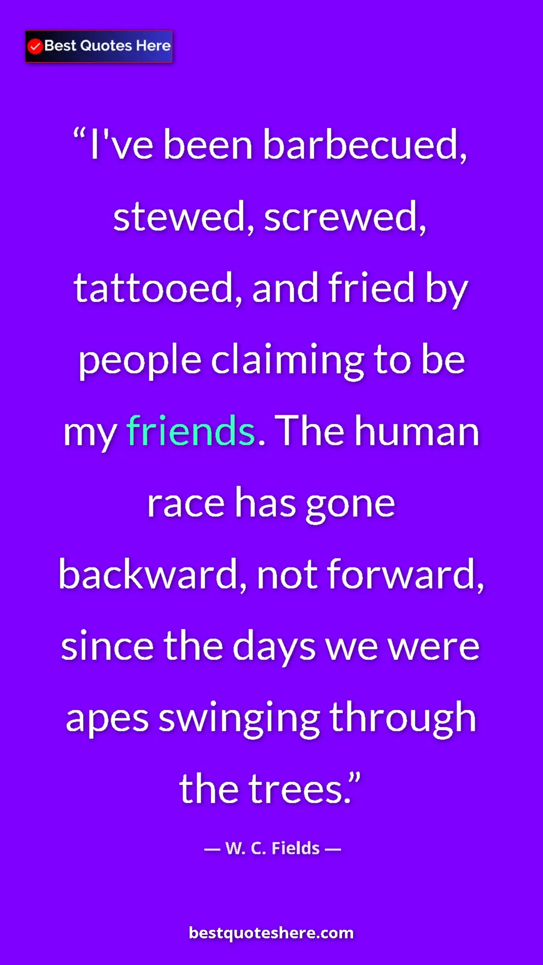 Pinterest quote poster by W. C. Fields: "I've been barbecued, stewed, screwed, tattooed, and fried by"