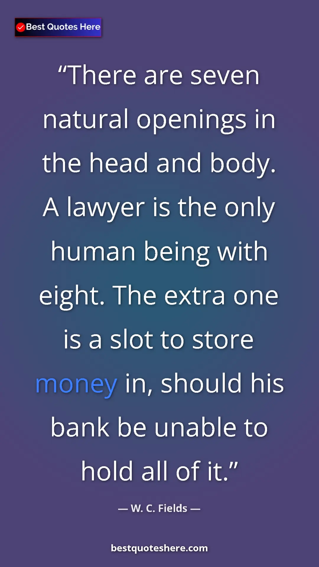 Pinterest quote poster by W. C. Fields: "There are seven natural openings in the head and body. A law"